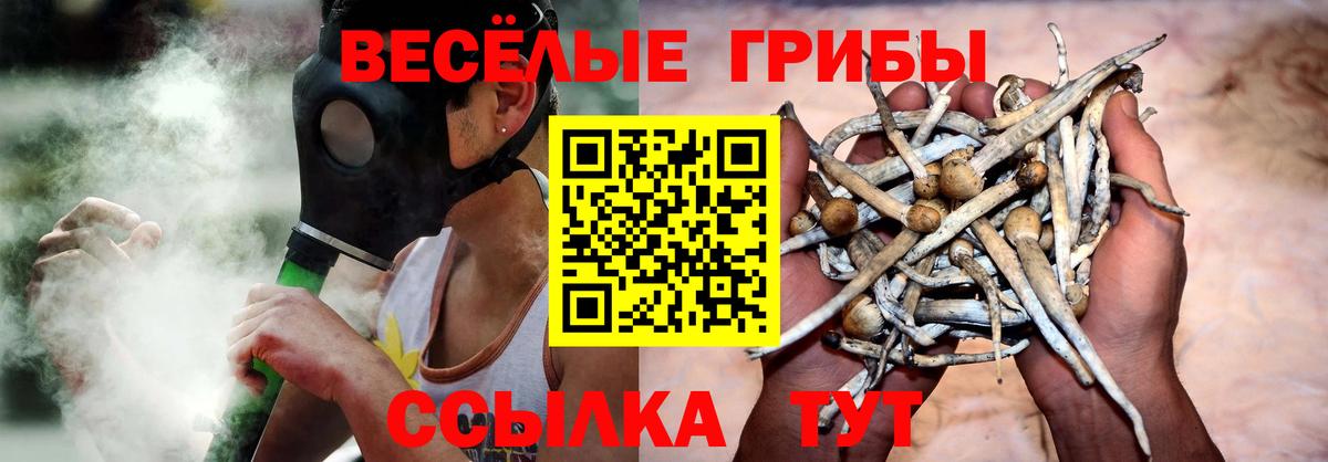 Псилоцибиновые грибы GOLDEN TEACHER  Вход с VPN  Евпатория 